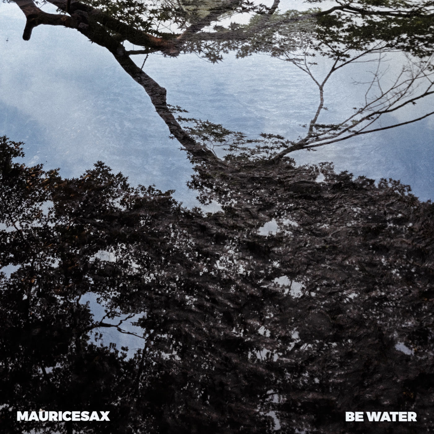 mauricesax-be-water-cover